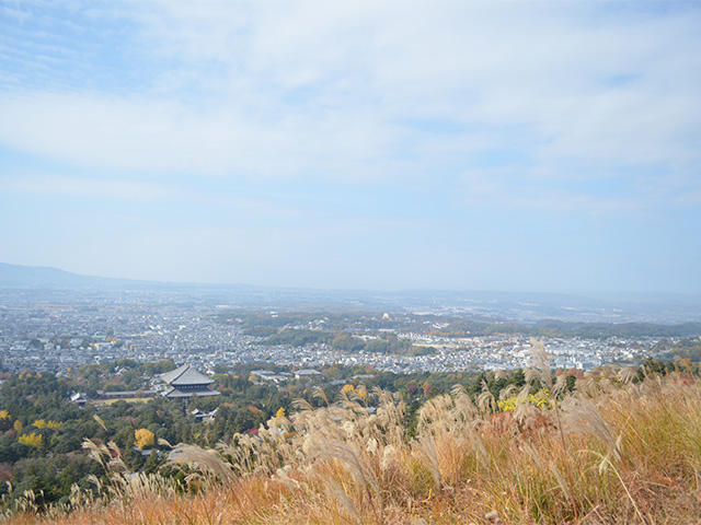 奈良市の画像